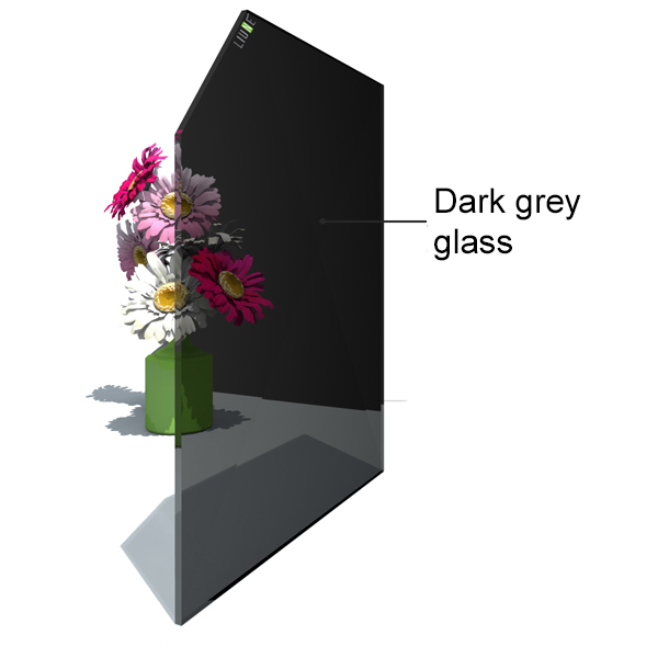 Technical picture door leaf Liune Black glass LD21